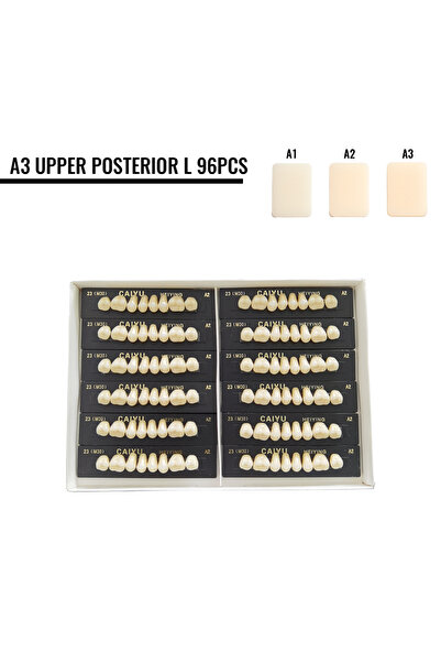 Choice31 Upper Posterior A3 L 96 Pcs/Set Dental Resin Teeth Posterior Anterio...