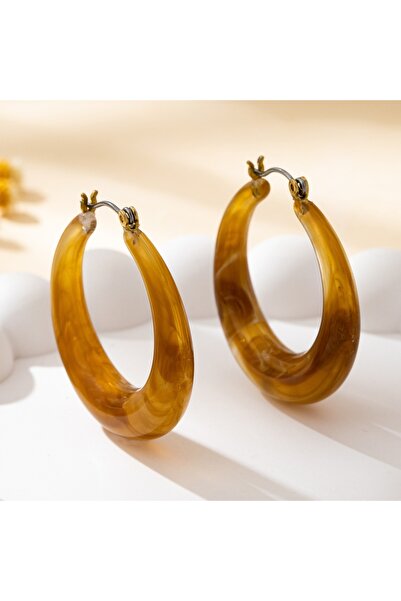 Choice BROWN A Pair of Women's Hoop Earrings, Light Brown Maillard Color Simp...