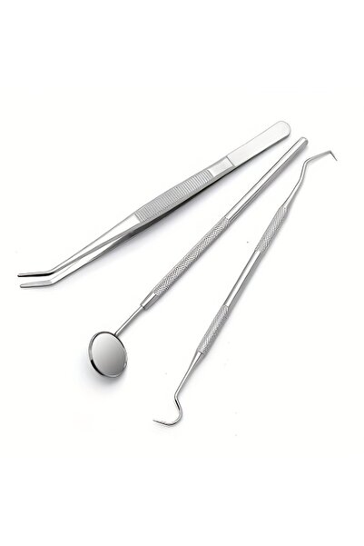 Choice 3pcs Dental Tools Dental Pick Oral Care Kit Stainless Steel Dental Hyg...