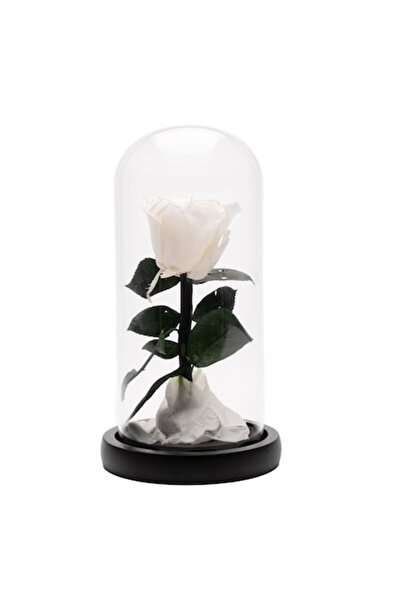 OEM Cryogenic Rose in Glass Dome