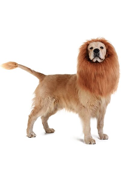 OEM Costum de cățeluș, leu amuzant, Halloween, mărimea M, USSPY