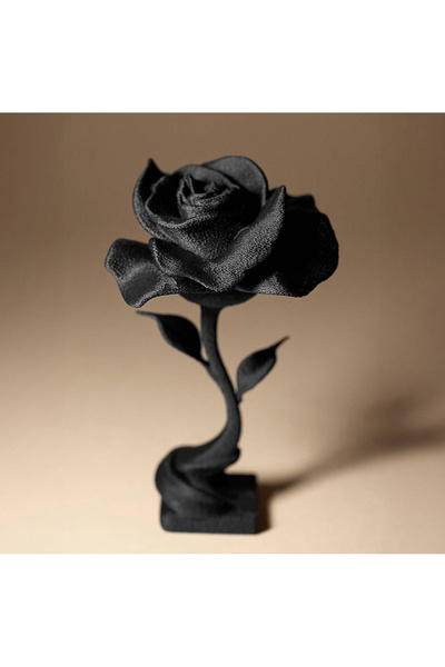 WAW Dekorluk Gül Sevgililer Gününe Özel