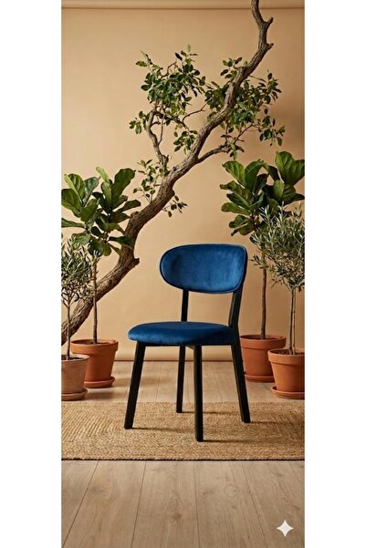 izelight tedyy sandalye