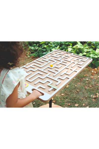 Maze Master Group Garden Game
