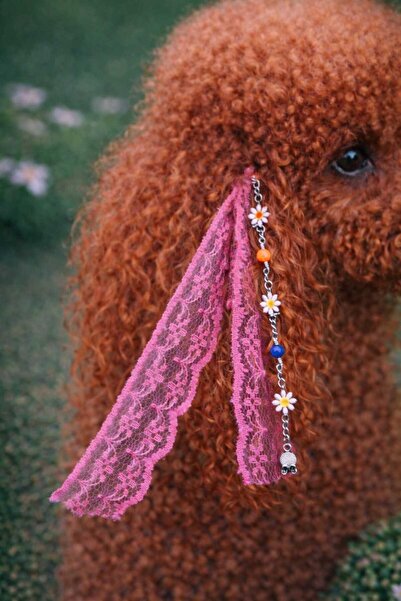 LOOL PREMİUM ÇIT ÇIT DANTELLİ KÖPEK TOKASI RASTA HİPPİ KÖPEK TOKASI