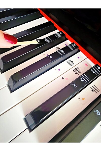 Saatistan Renkli Piyano Nota Etiketleri, 49-88 Tuş Uyumlu, Öğretici Sticker Set