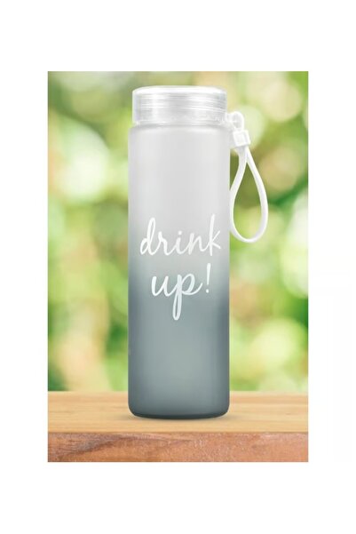 ASELYA قارورة زجاجية مصقولة من VAESKE بمقبض (رمادي) 480 مل