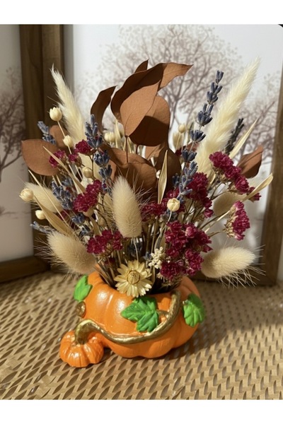 MODA Balkabağı saksı, taştozu , dekoratif