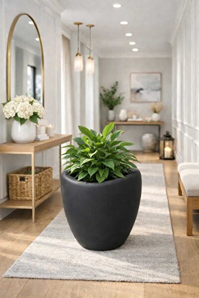 KastaSaksı PLASTİK ANTRASİT GRİ AMORF DEKORATİF SAKSI 42X45