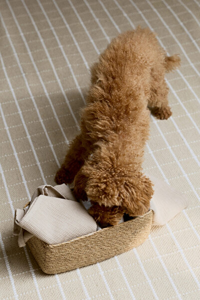 H&M Su Çayırı Sepet