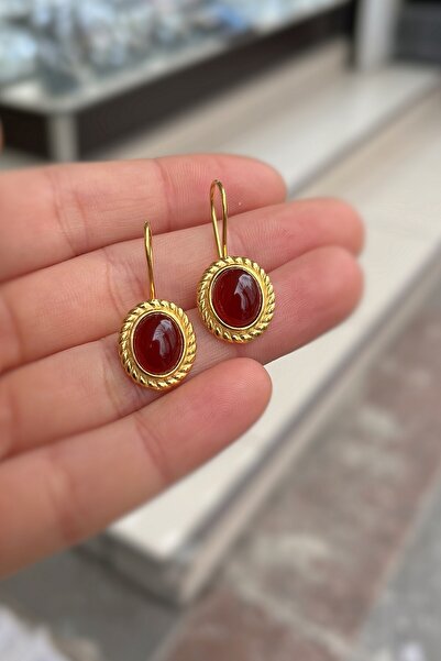 Erer Gümüş Gümüş sallantılı akik taşlı altın kaplama küpe hs853b2