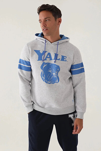 Yale Сніговий меланж з капюшоном і принтом спереду, чоловічий світшот