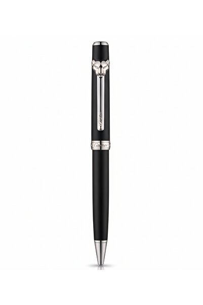 CAAT Luxury pen with accessories