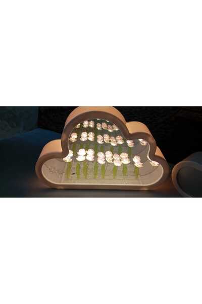 Genel Markalar Bulut Tasarımlı Aynalı Gece Lambası (Gül)