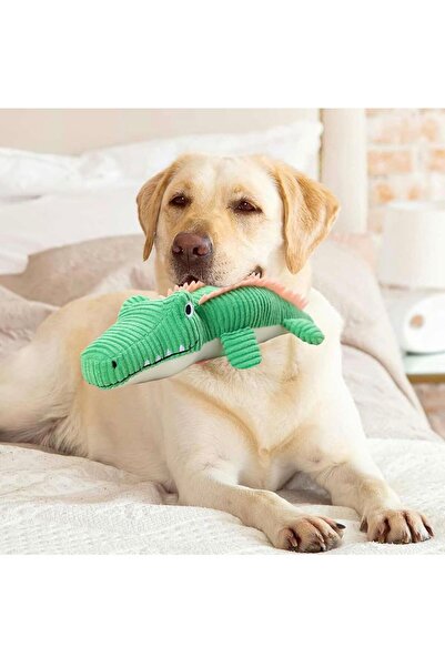 OEM Plush toy for dogs of all sizes, crocodile, bite resistance, Green.