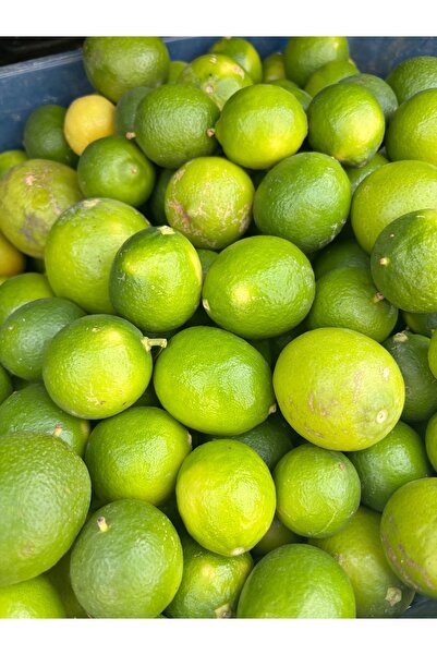 BRF TROPİKAL Lime 1 kg