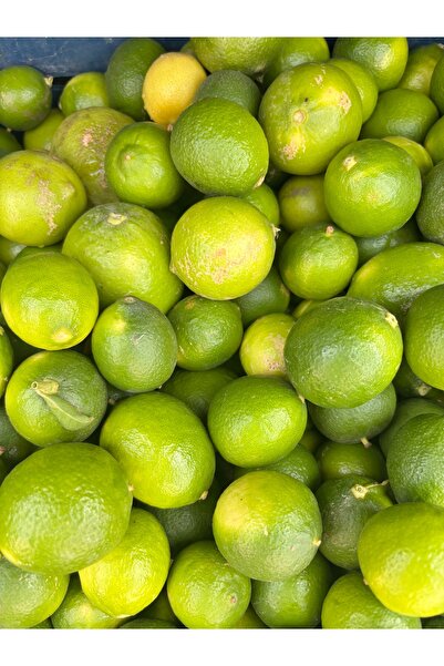 BRF TROPİKAL Lime 1 kg