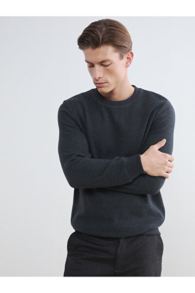 LC Waikiki Özmarka New Season Crew Neck Men's Sweatshirt