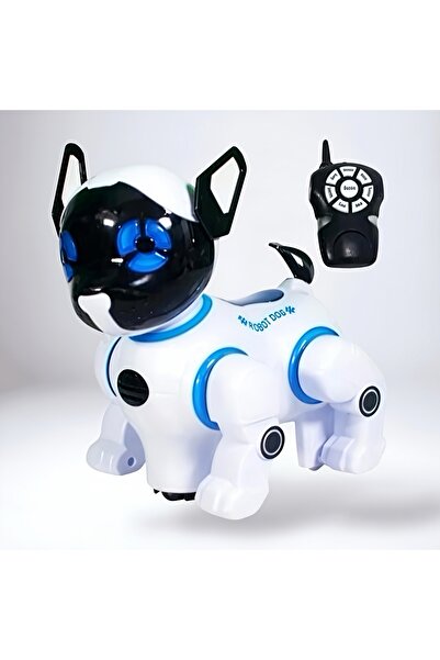 OEM Interactive Robot Dog with Remote Control, Lights & Sounds, Smart Toy for...