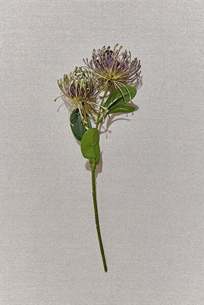 Paşabahçe Pincushion 41 cm Mor