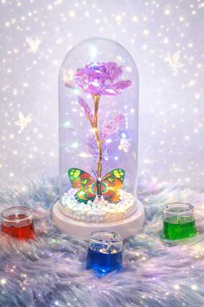 loreans pembe Tabanlı 14 Şubat Sevgililer Günü Özel Led Işıklı gül kelebekli ...