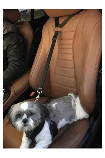 Ankaflex Oto Evcil hayvan Araç içi Koltuk başlıkları için Tasma Kemer Güvenli...