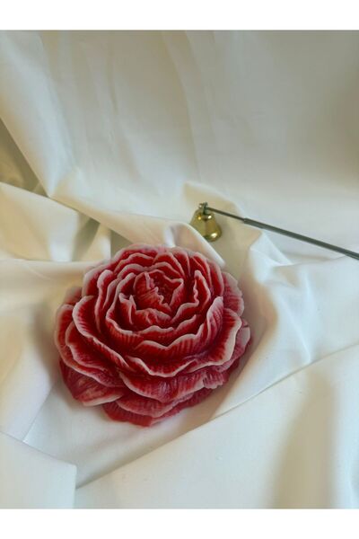 TozluAtolye TOZLU ATÖLYE BÜYÜK ŞAKAYIK ÇİÇEĞİ