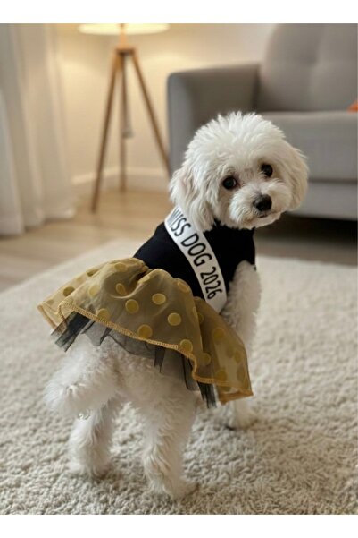 BarniCO Cat Dog Special Design Tutu Dress
