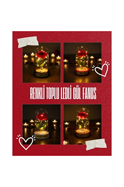 Renkli Toplu Ledli Gül Fanus