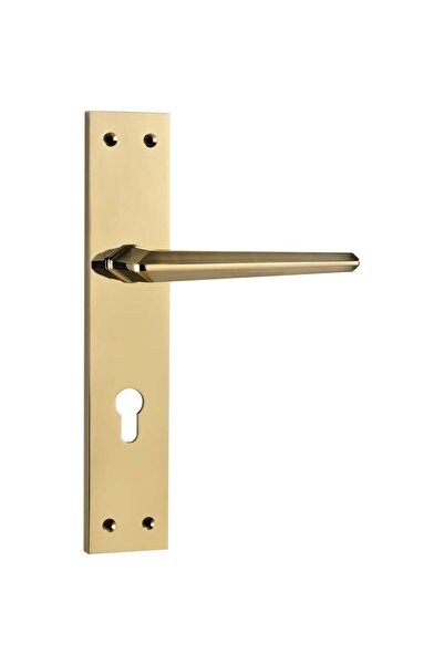 Milano Za Tishya Multi Color Plate Door Handle - Durable PVD Zinc Alloy Hardw...