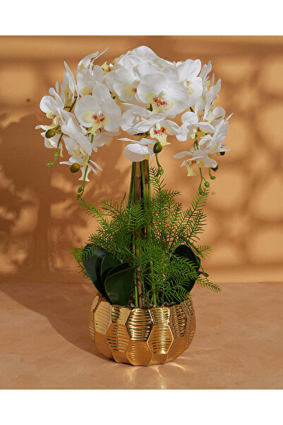 REDTAG زهرة أوركيد اصطناعية في وعاء ذهبي، 65 (ارتفاع) × 60 (قطر) سم