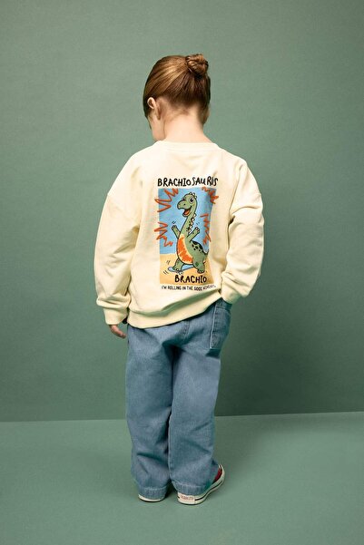 DeFacto Oversize Sweatshirt Baby Boy G7485A526Sp