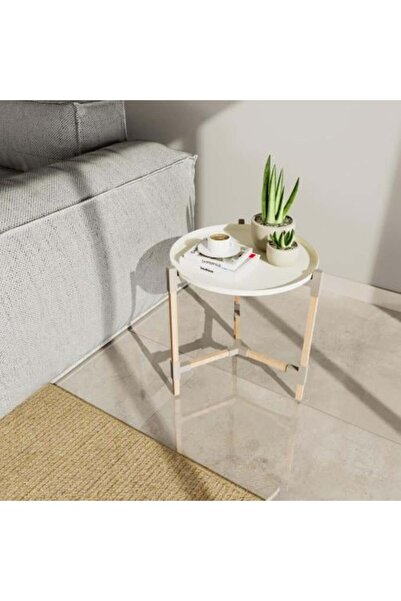 Generic Wooden Base Table with Iron Surface FIXWOOD