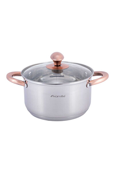 Kamille Stainless Steel Pot with Glass Lid, 3L, 20 cm, Silver/Pink, Induction