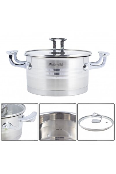 Kamille Stainless Steel Pot with Glass Lid, 22 cm, 4.4 L, Silver/Transparent