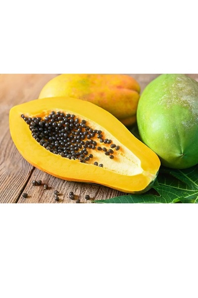Labari Doğal Taze Dalından Papaya Meyvesi 3 Adet