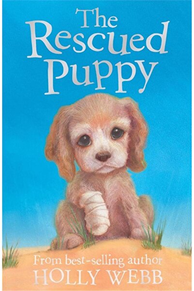 Little Tiger Press Holly Webb Animal Stories: The Rescued Puppy