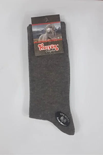 Hasyün 2 Pack Wool Socks Real Wool Genuine Warmth Gray-brown-dark blue-smoked