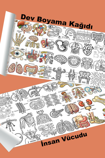 metafortoys İnsan Vücudu Dev Boyama Kağıdı 2.5 metre x 62 cm Kağıt Aktivite R...