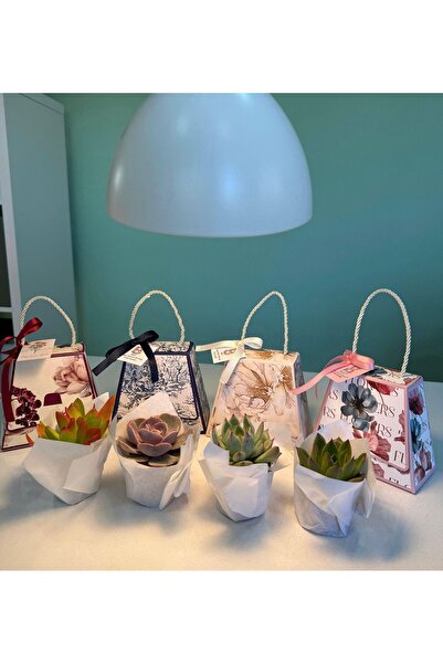 FİDAN PAZARI 8 MART KADINLAR GÜNÜ ÖZEL SAPLI ÇANTA SUKULENT HEDİYELİK KARIŞIK...
