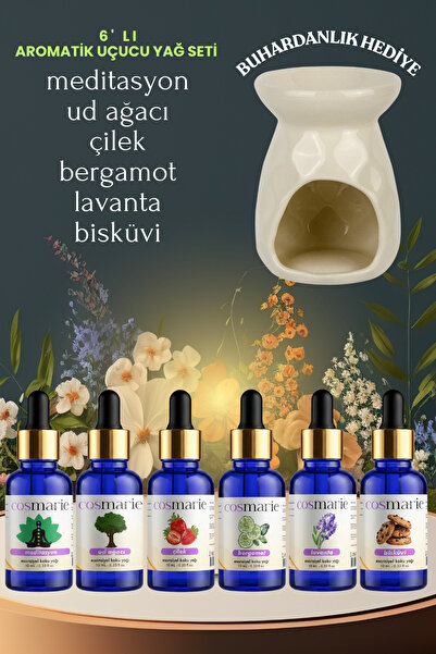 Cosmarie 6'lı Esansiyel Difüzör Buhurdanlık Aromaterapi Yağı Buhardanlık Hedi...