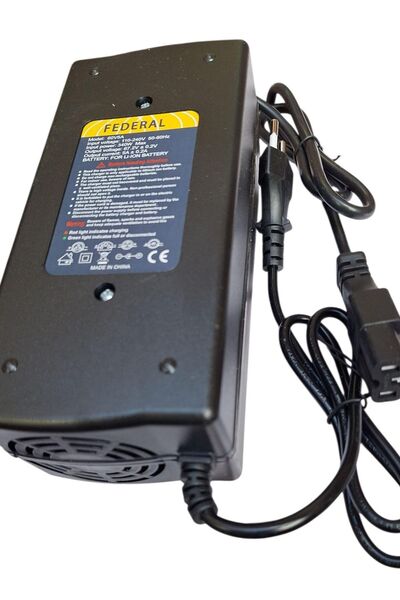 OEM Επαγγελματικός φορτιστής CityCoco 60 V 5 A με ψύξη με ανεμιστήρα