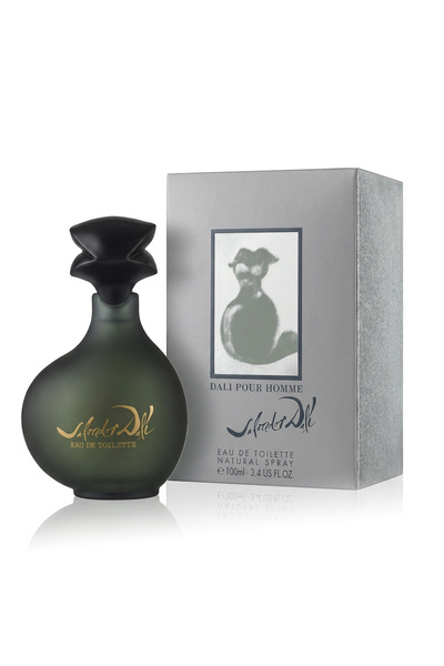 Salvador Dali Apa de toaleta Salvador Dalí Pour Homme 100 ml (barbat)