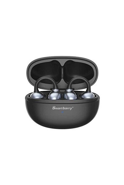 SMART BARRY H66 wireless earbuds with a large battery, strong device compatib...