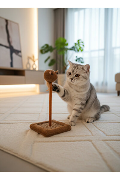 shop Cat Scratching Board with Sound Toy
