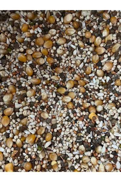 Tippler BEZELYESİZ KARIŞIK