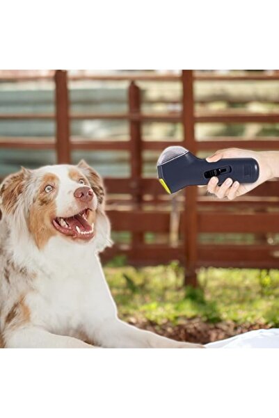 OEM Dispenser tip lansator mancare, boabe catei si pisici, dresaj si antrenam...