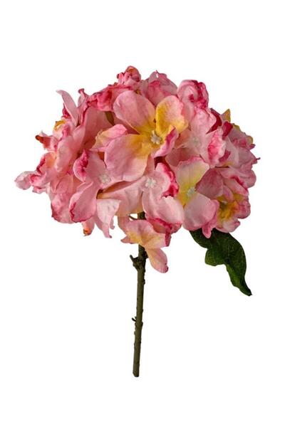 Nettenevime زهرة صناعية من قماش الأورانجا الوردي المحروق، فرع واحد 35*15 سم، ...