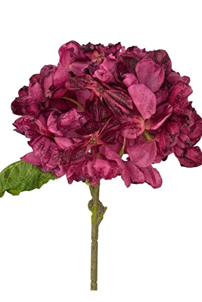 Nettenevime زهرة صناعية من قماش الأورانجا الفوشيا، فرع واحد، 35*15 سم، زهرة ق...