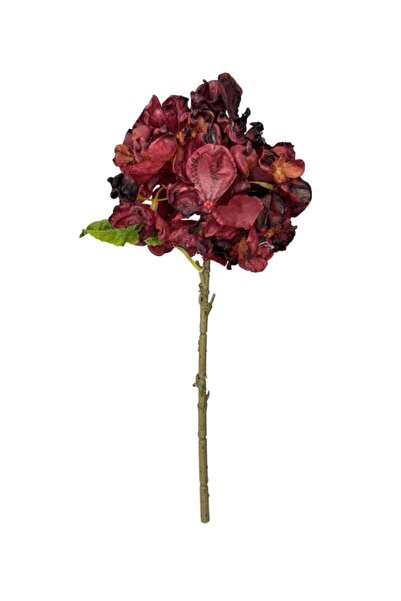 Nettenevime زهرة صناعية من قماش الأورانجا المحروق بلون بورجوندي، فرع واحد 35*...